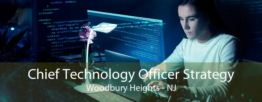 Chief Technology Officer Strategy Woodbury Heights - NJ