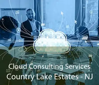 Cloud Consulting Services Country Lake Estates - NJ