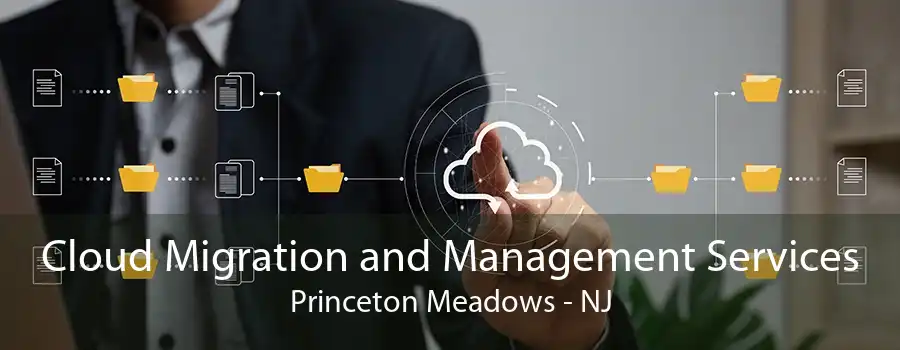 Cloud Migration and Management Services Princeton Meadows - NJ