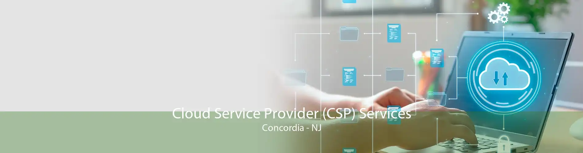 Cloud Service Provider (CSP) Services Concordia - NJ