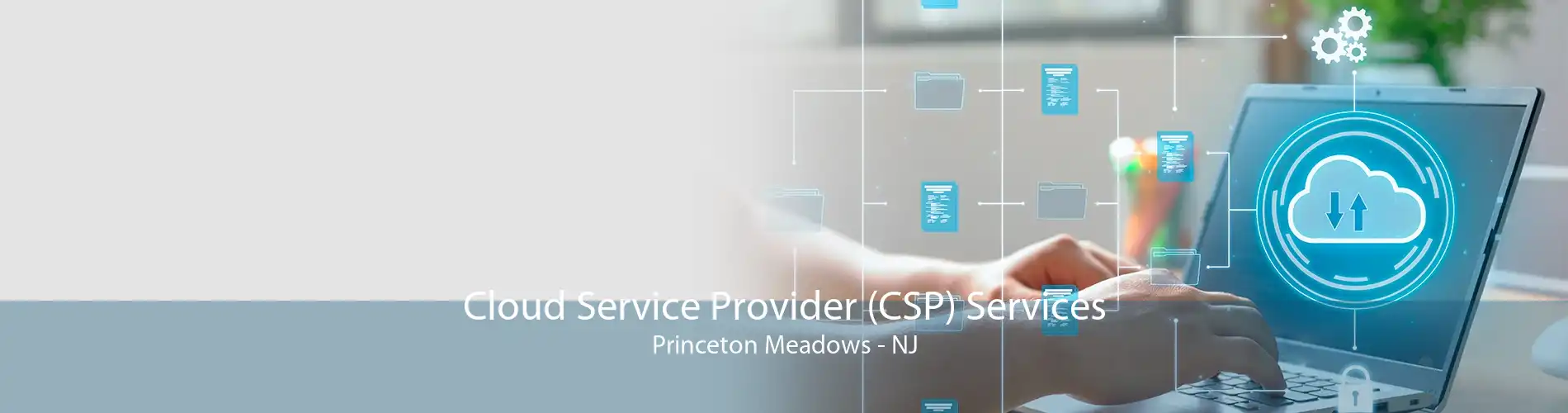 Cloud Service Provider (CSP) Services Princeton Meadows - NJ