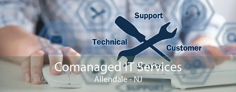 Comanaged IT Services Allendale - NJ