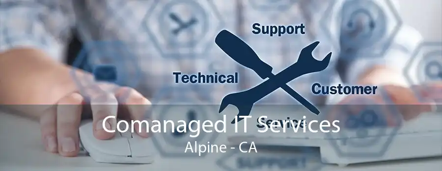 Comanaged IT Services Alpine - CA