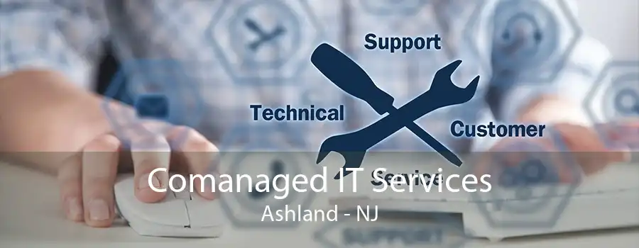 Comanaged IT Services Ashland - NJ