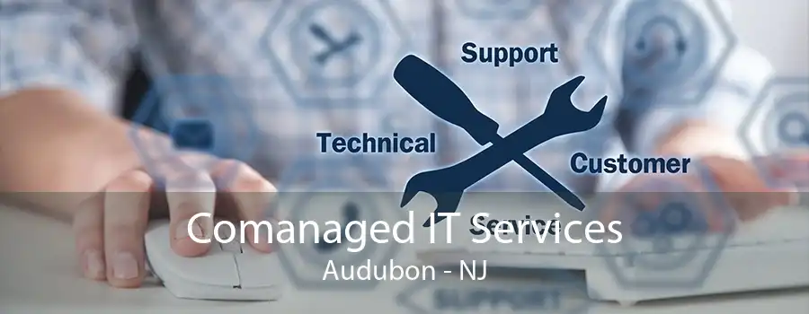 Comanaged IT Services Audubon - NJ