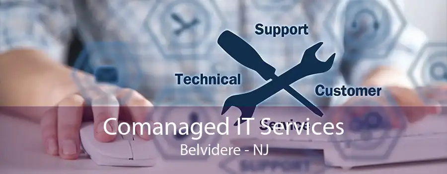 Comanaged IT Services Belvidere - NJ