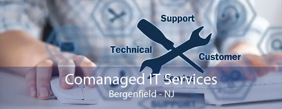 Comanaged IT Services Bergenfield - NJ