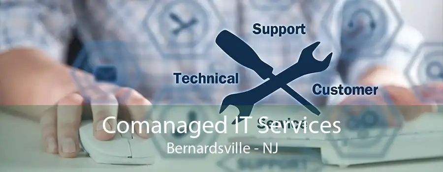 Comanaged IT Services Bernardsville - NJ