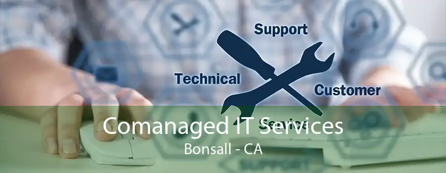 Comanaged IT Services Bonsall - CA