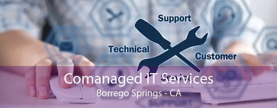 Comanaged IT Services Borrego Springs - CA