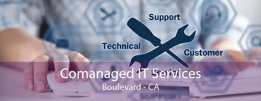 Comanaged IT Services Boulevard - CA