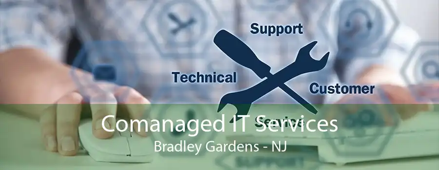 Comanaged IT Services Bradley Gardens - NJ