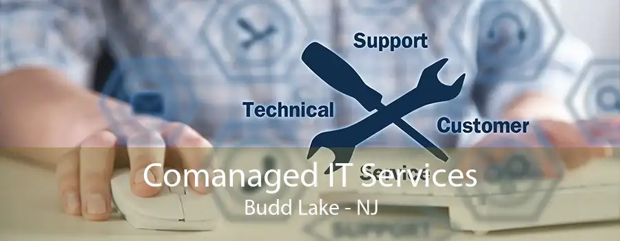 Comanaged IT Services Budd Lake - NJ