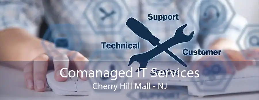 Comanaged IT Services Cherry Hill Mall - NJ