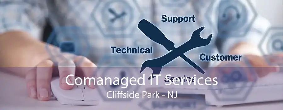 Comanaged IT Services Cliffside Park - NJ