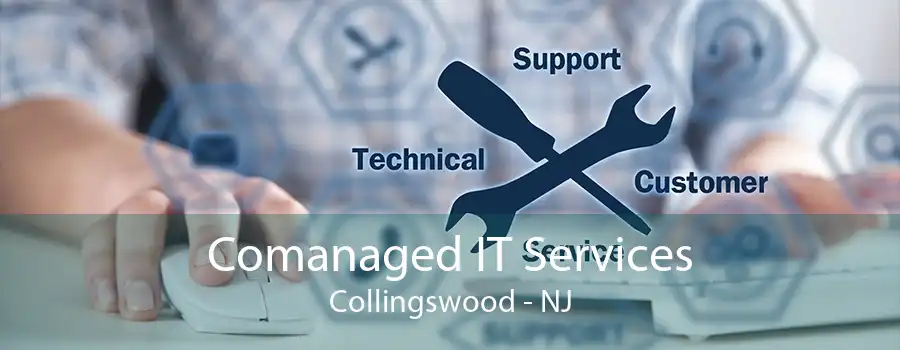 Comanaged IT Services Collingswood - NJ