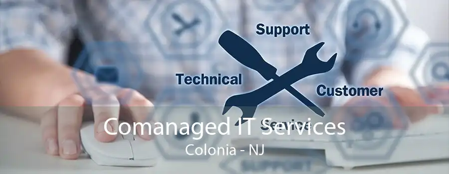 Comanaged IT Services Colonia - NJ