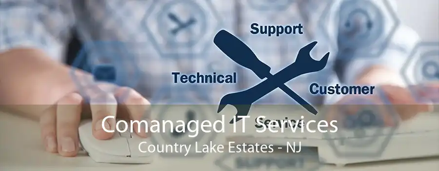 Comanaged IT Services Country Lake Estates - NJ