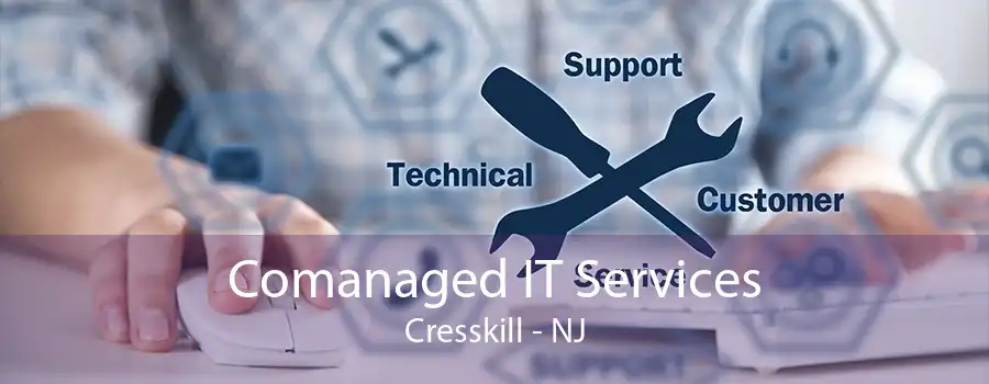 Comanaged IT Services Cresskill - NJ