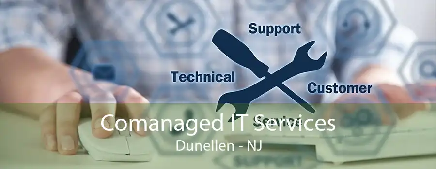 Comanaged IT Services Dunellen - NJ