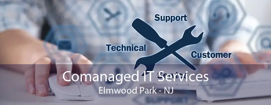 Comanaged IT Services Elmwood Park - NJ