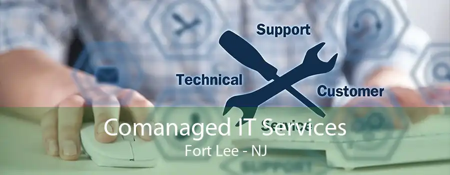 Comanaged IT Services Fort Lee - NJ