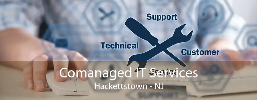 Comanaged IT Services Hackettstown - NJ