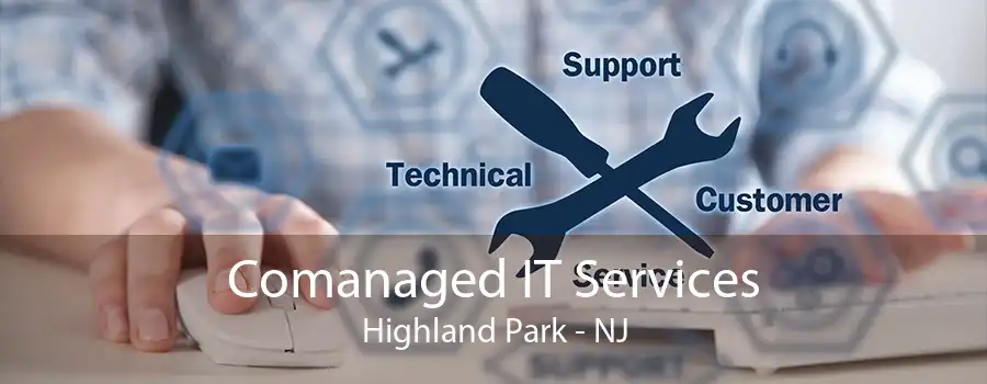 Comanaged IT Services Highland Park - NJ