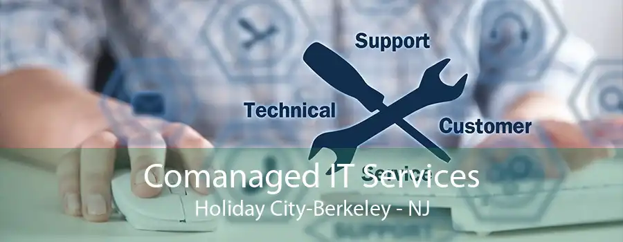 Comanaged IT Services Holiday City-Berkeley - NJ