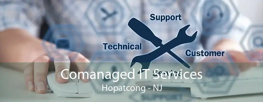 Comanaged IT Services Hopatcong - NJ