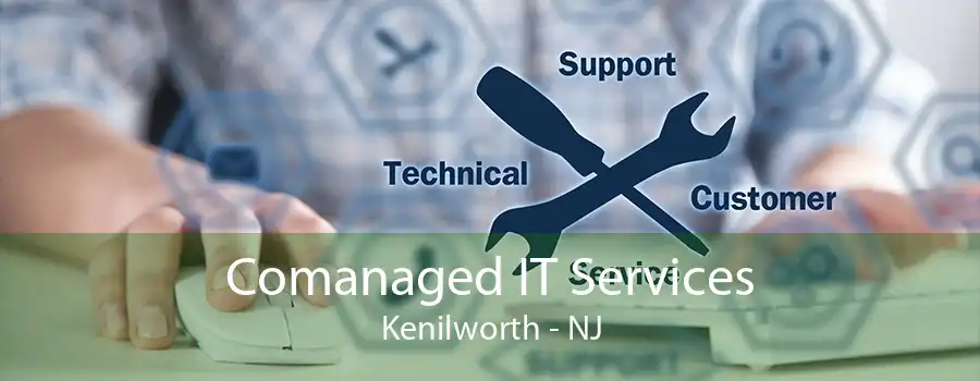 Comanaged IT Services Kenilworth - NJ