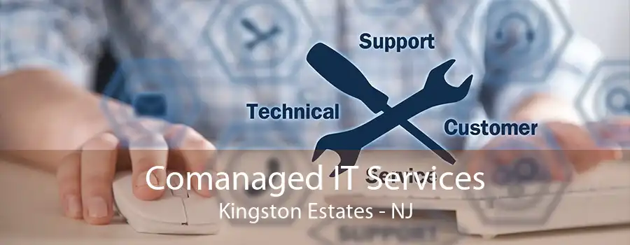 Comanaged IT Services Kingston Estates - NJ