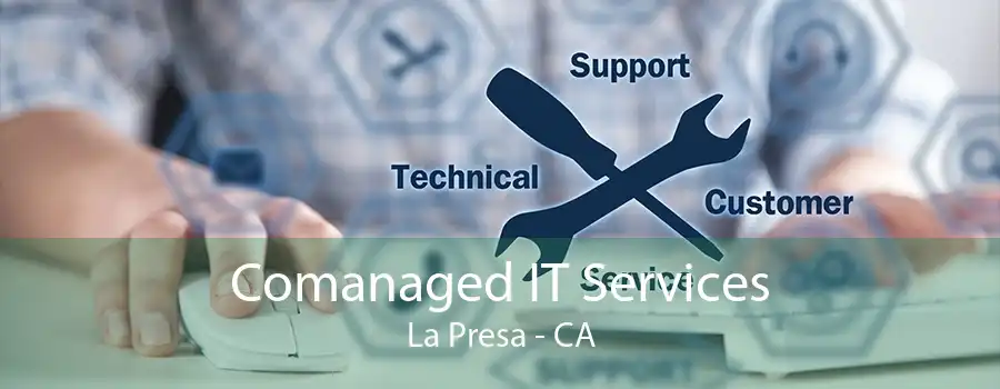 Comanaged IT Services La Presa - CA