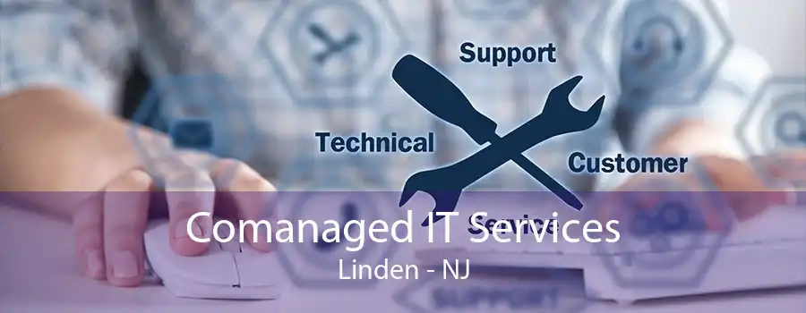 Comanaged IT Services Linden - NJ