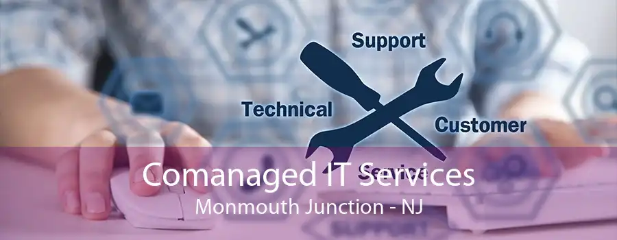 Comanaged IT Services Monmouth Junction - NJ