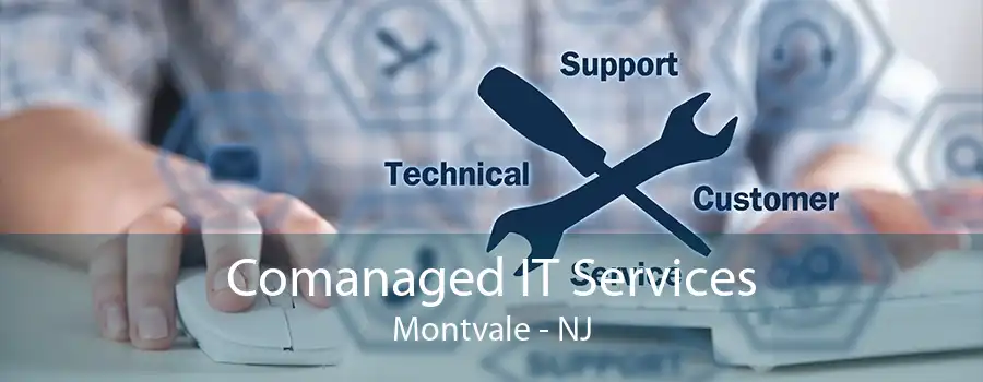 Comanaged IT Services Montvale - NJ
