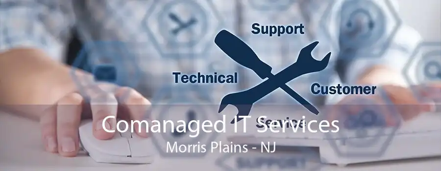 Comanaged IT Services Morris Plains - NJ