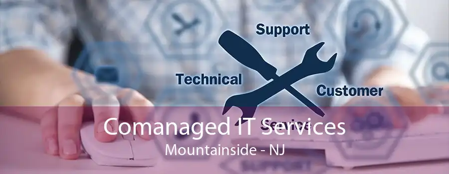 Comanaged IT Services Mountainside - NJ