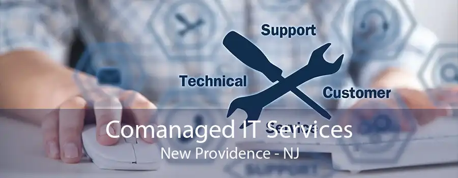 Comanaged IT Services New Providence - NJ