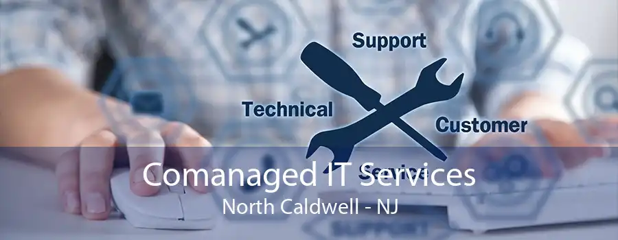 Comanaged IT Services North Caldwell - NJ