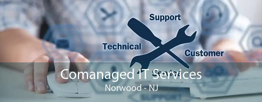 Comanaged IT Services Norwood - NJ