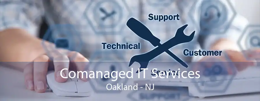 Comanaged IT Services Oakland - NJ