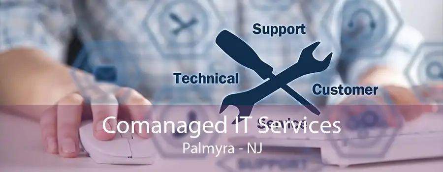 Comanaged IT Services Palmyra - NJ