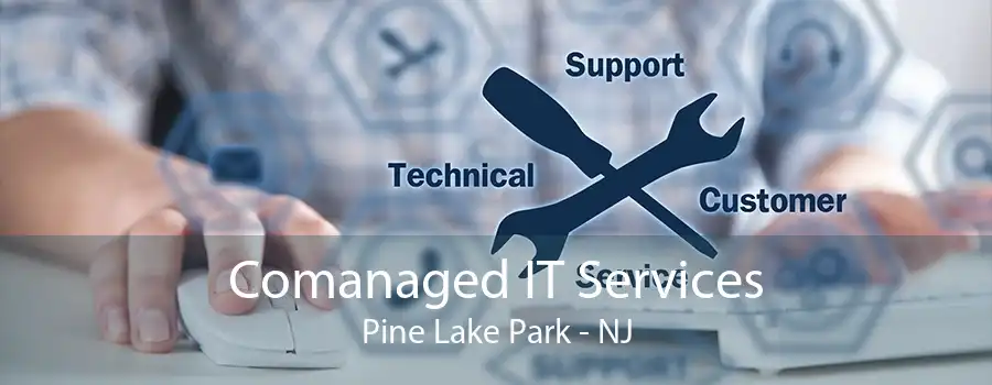 Comanaged IT Services Pine Lake Park - NJ