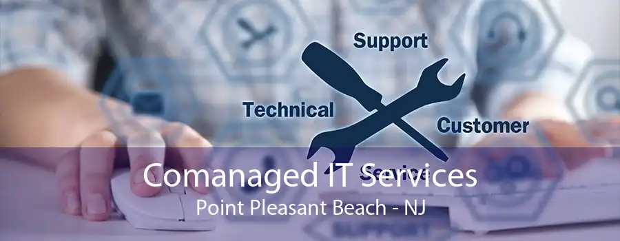 Comanaged IT Services Point Pleasant Beach - NJ