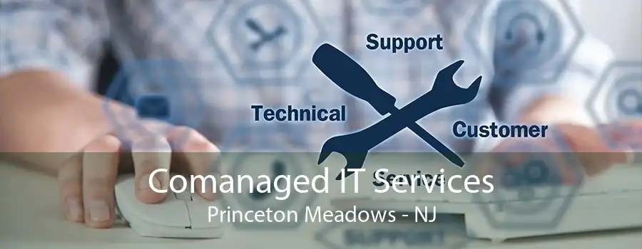 Comanaged IT Services Princeton Meadows - NJ