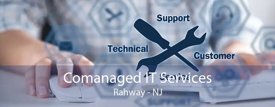 Comanaged IT Services Rahway - NJ