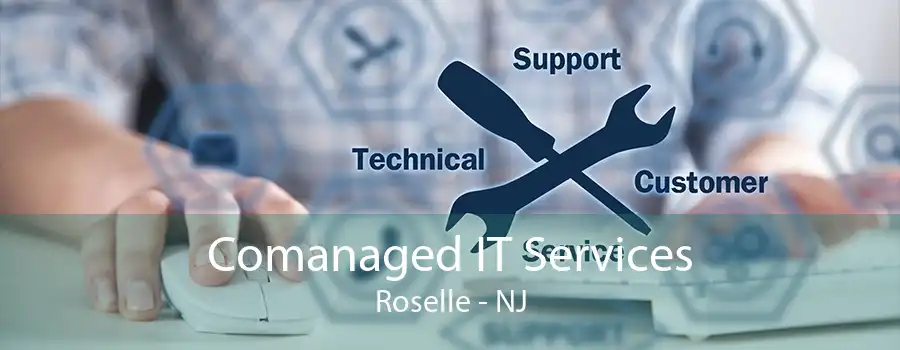 Comanaged IT Services Roselle - NJ
