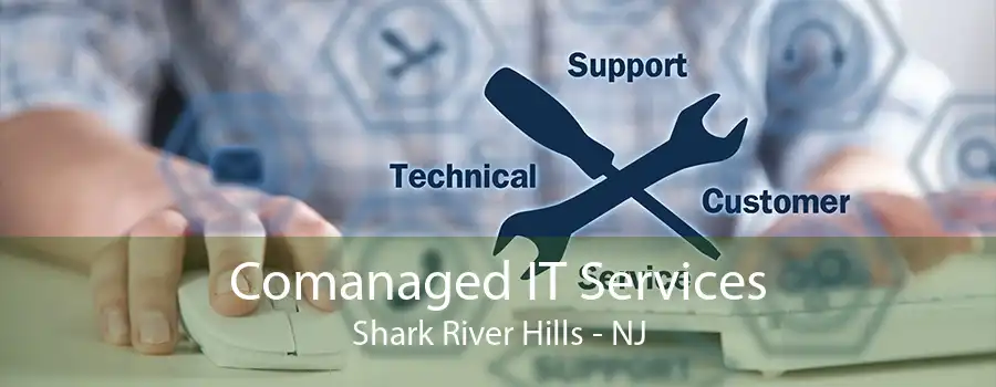 Comanaged IT Services Shark River Hills - NJ