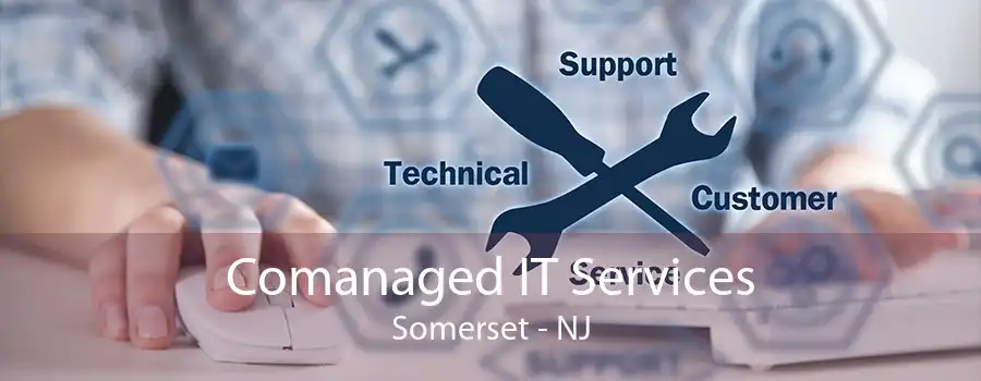 Comanaged IT Services Somerset - NJ